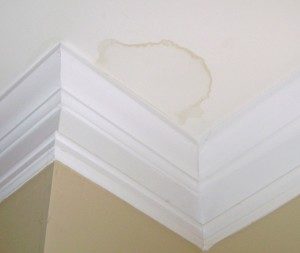 Water damage on white drywall ceiling in a Philadelphia home.