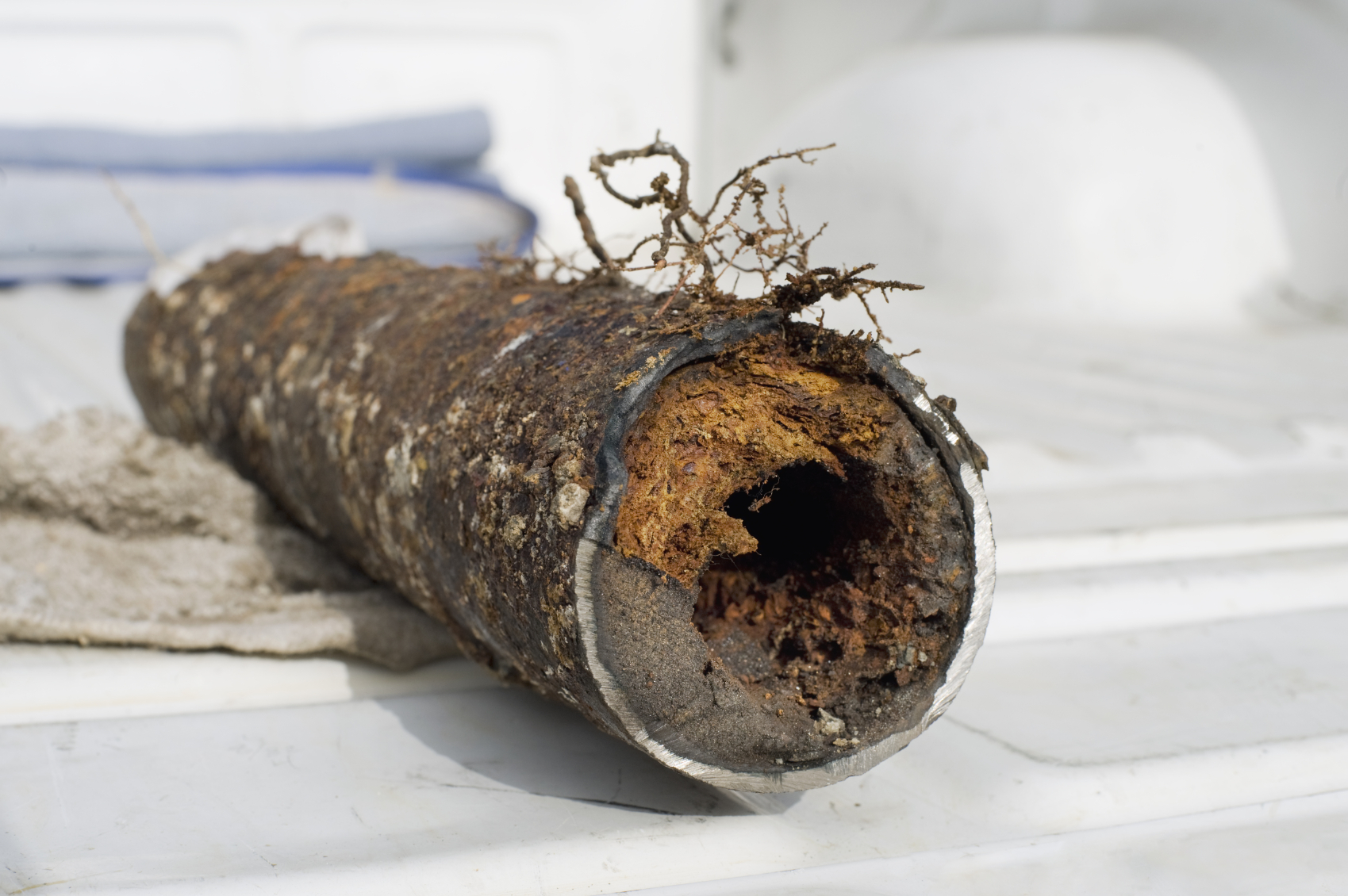 Piece of an sewer pipe with root intrusion damage laying on truck bed.