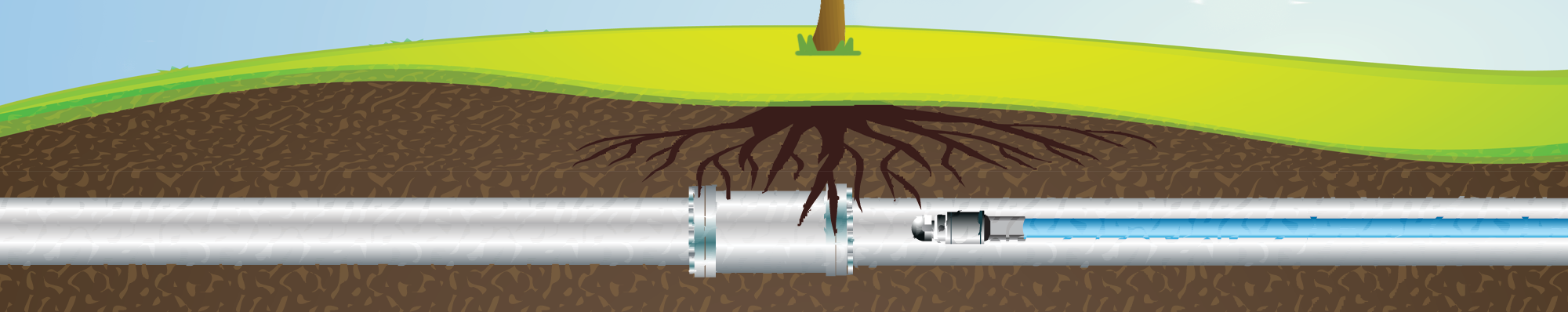 Graphic of tree root intrusion starting in sewer pipe.