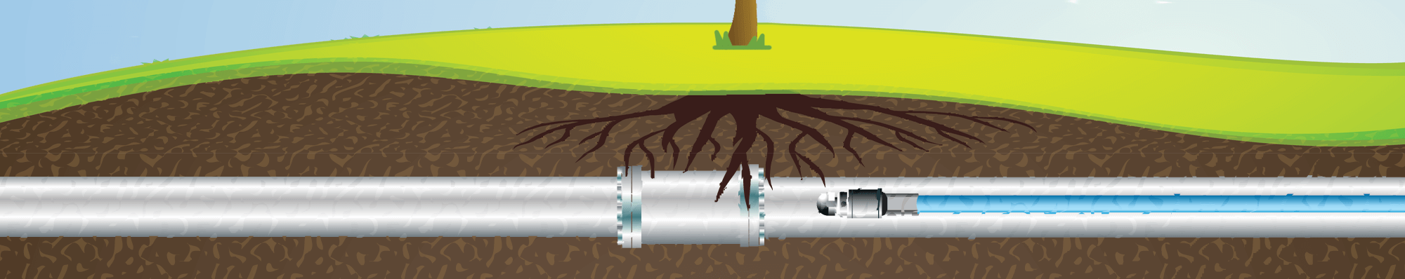 Graphic of tree roots damaging underground sewer line.