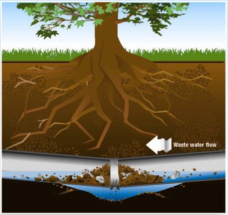 Graphic showing blockage in sewer line creating a pipe belly.